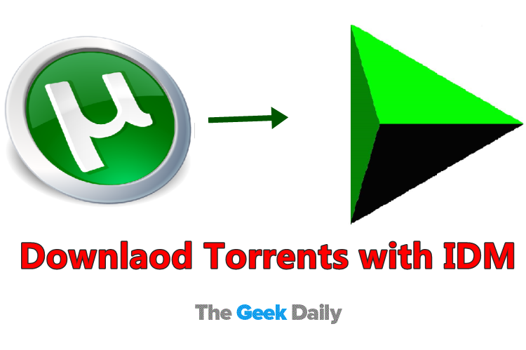Download torrent movies using idm free